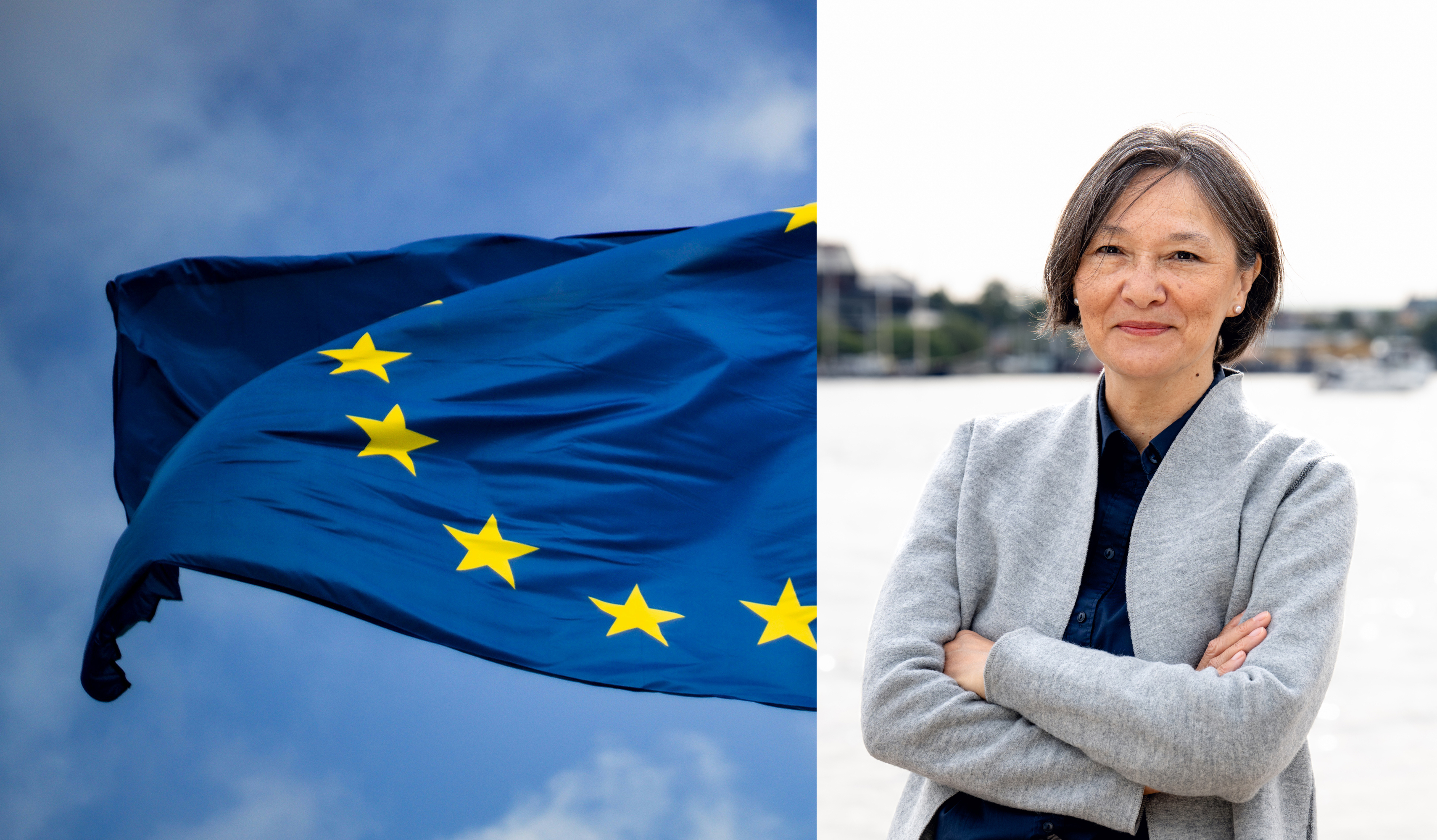 EU-flagga och Sylvia Schwaag Serger