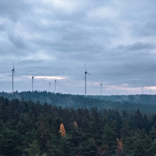 vindkraft i skog