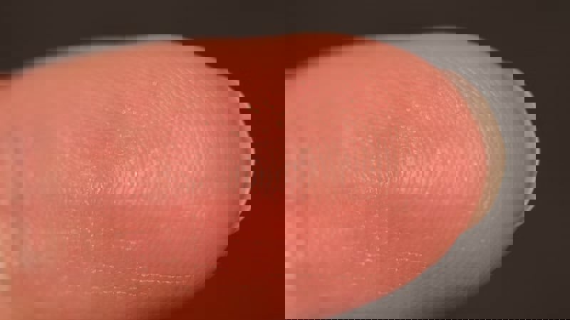 En fingerspets