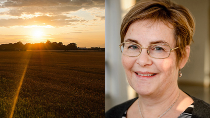 collage soluppgång över fält och leende Annika Olsson
