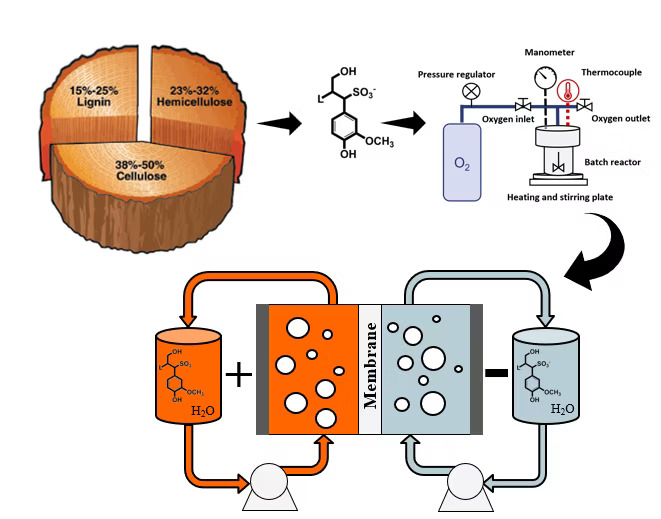 tecknad bild som visar processen n&auml;r man g&ouml;r tr&auml; batterier