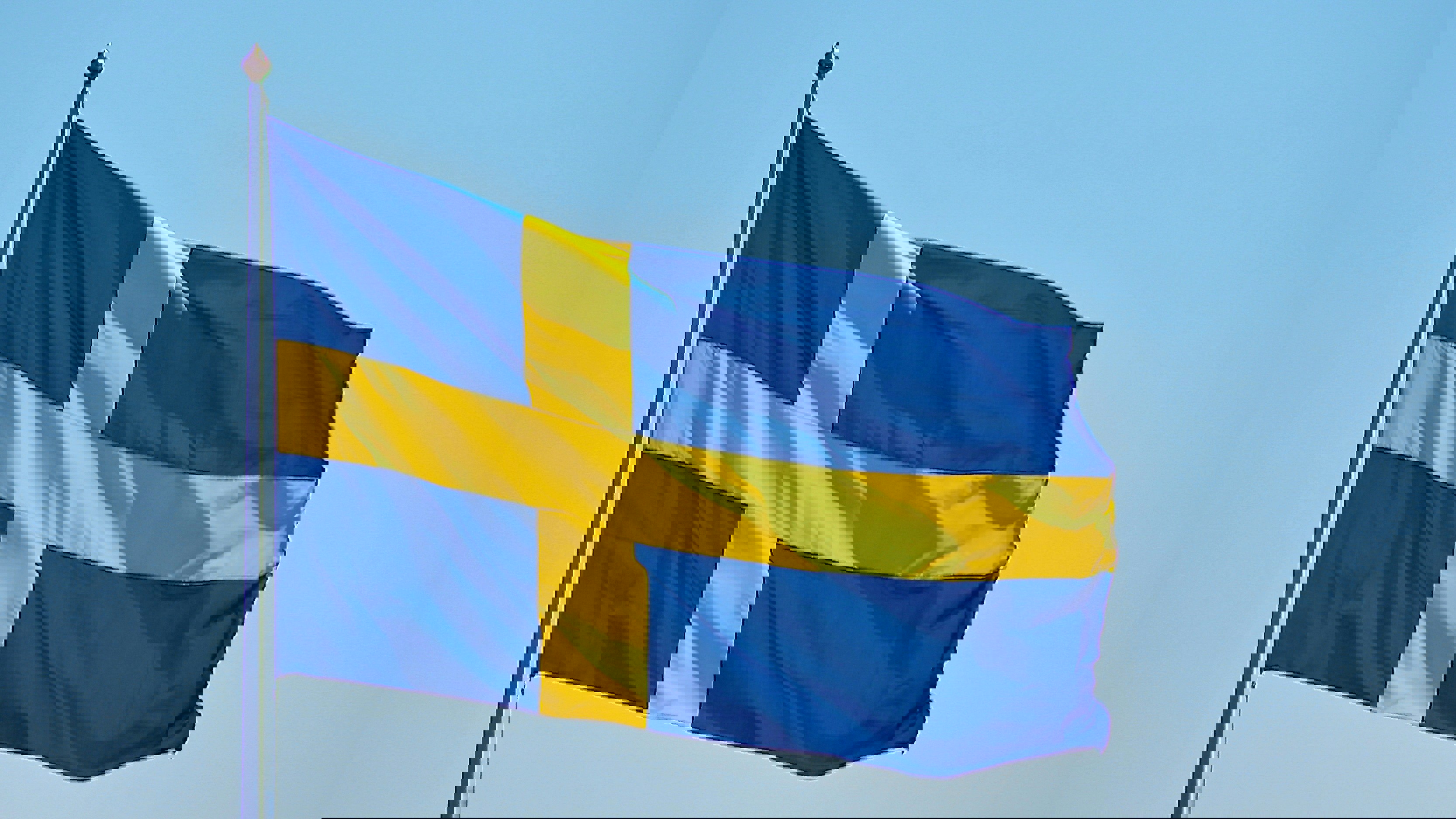 Swedish flag